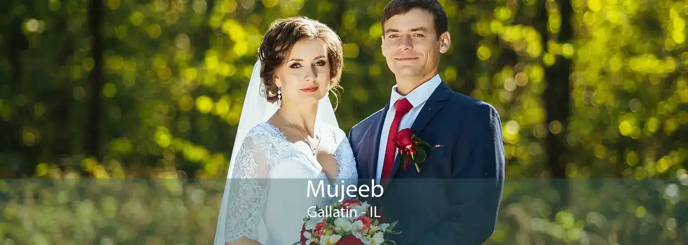 Mujeeb Gallatin - IL