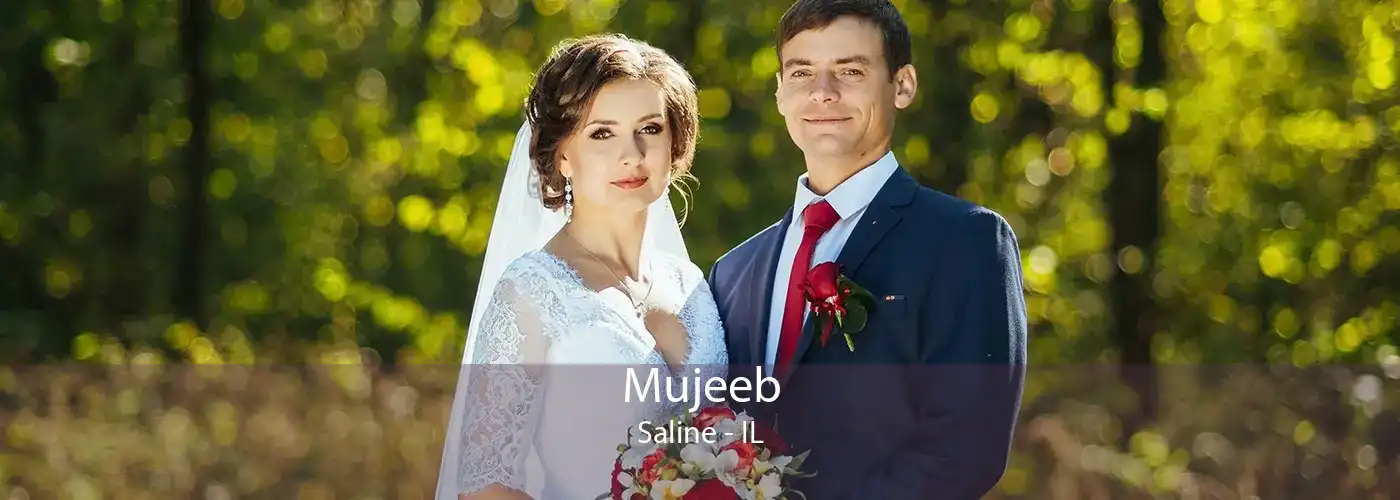 Mujeeb Saline - IL
